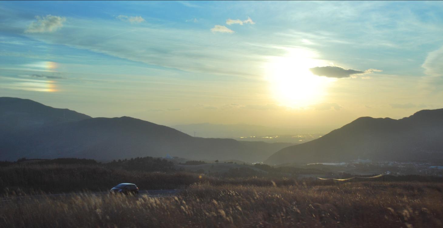 Reference Photos Library (Coming Soon)