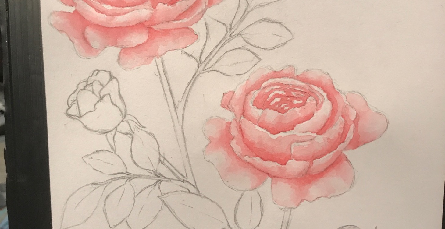 Watercolor 101