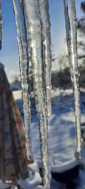 How do we do this life? 