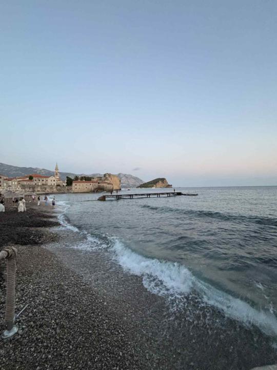 Ágnes Pappné Kővári