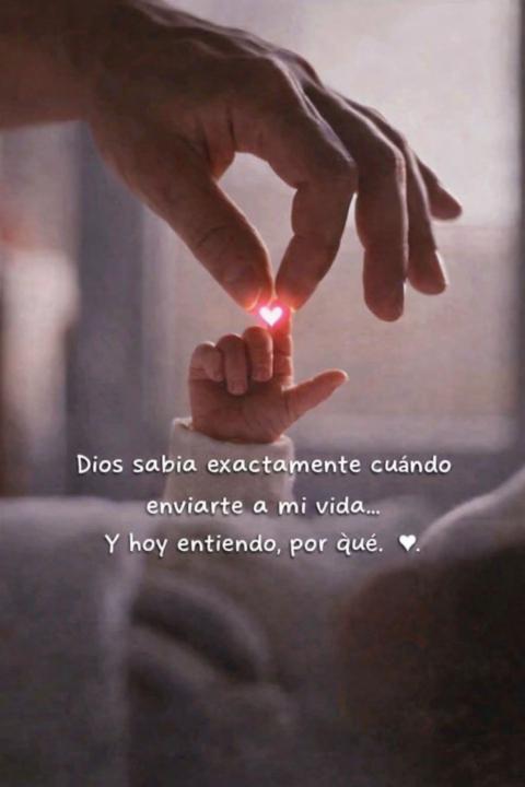 Rosa Elena More Coronado