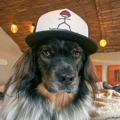Buddy the Boss