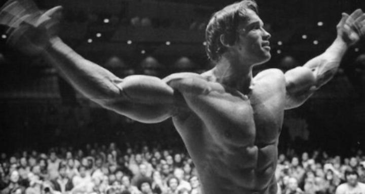 la voie de la discipline