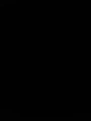 X B