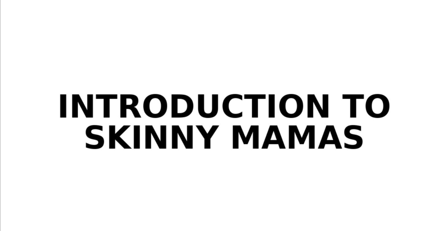 Introduction to Skinny Mamas