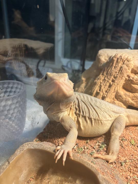 Hi!!