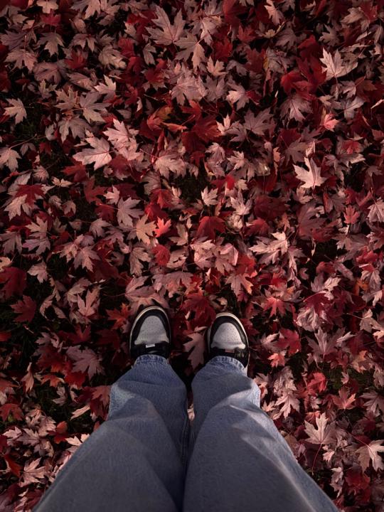 Zeinab Ashi-Sulaiman