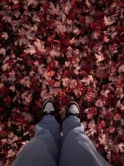 Zeinab Ashi-Sulaiman