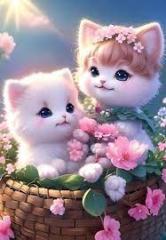 Kiran Cat