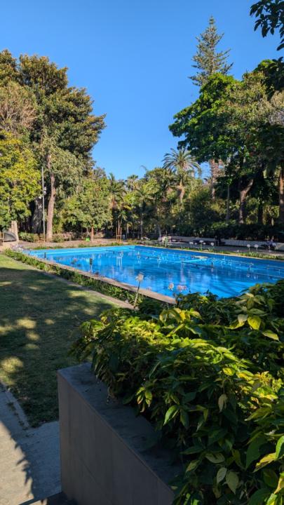 Scott Williams