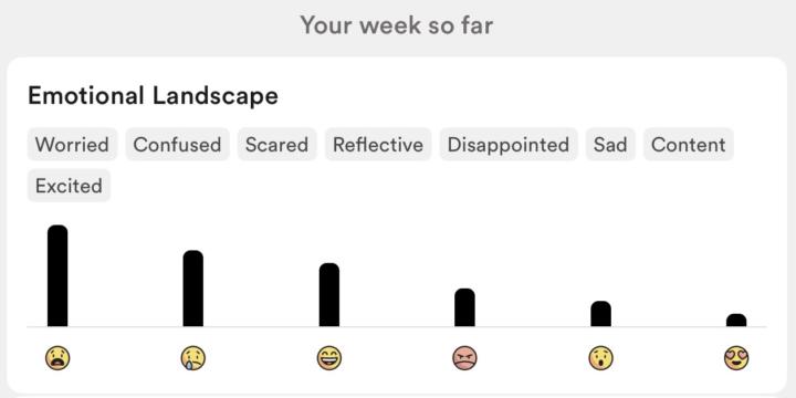 Anti-Blitz Vow to Myself: accept joy without the need for perfection
