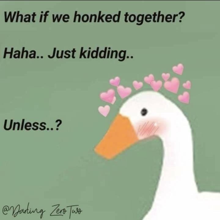 What if we? 😳🤭