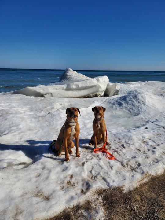 Channeling our inner Antarctica 🐧