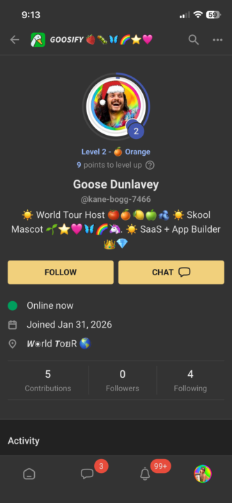 ‼️🪿 ATTENTION FAKE GOOSE!!!!!!!!