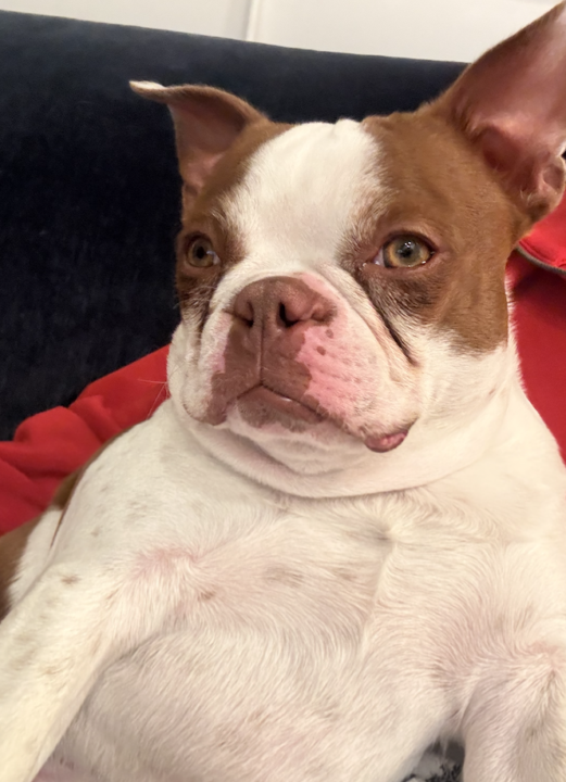 I love the happiest community on Skool! New Here 🧡👩‍🎤