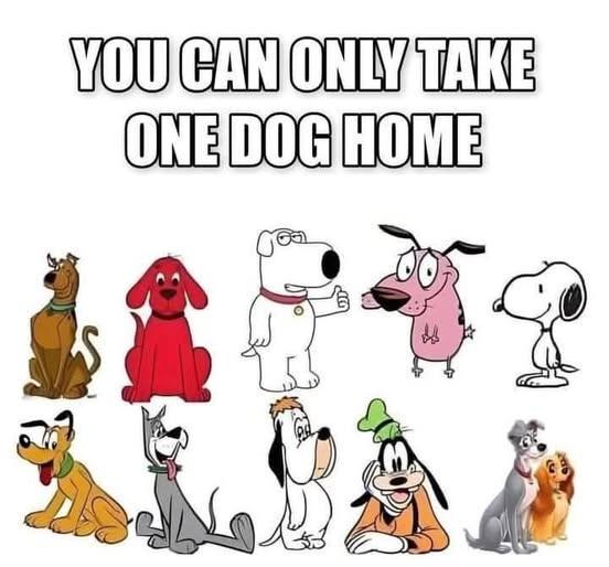 Choose Your Dog.