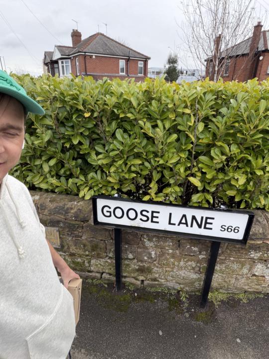 Goose lane 