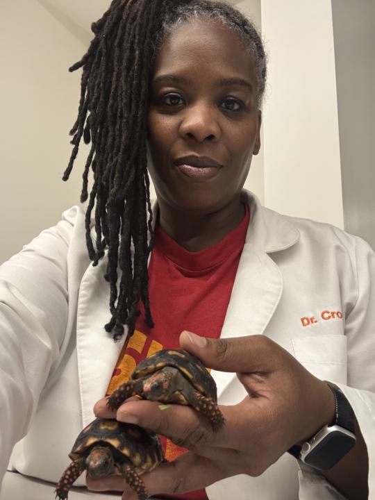 Newbie from Michigan