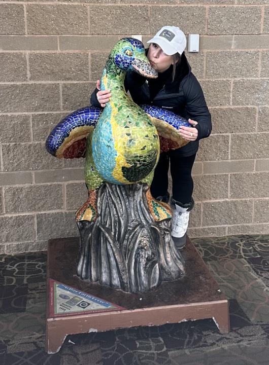 I found A goose ……