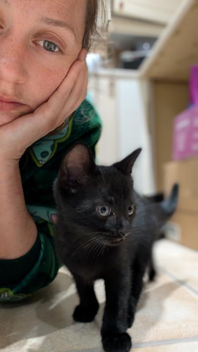 Last Kitten Update 🐾