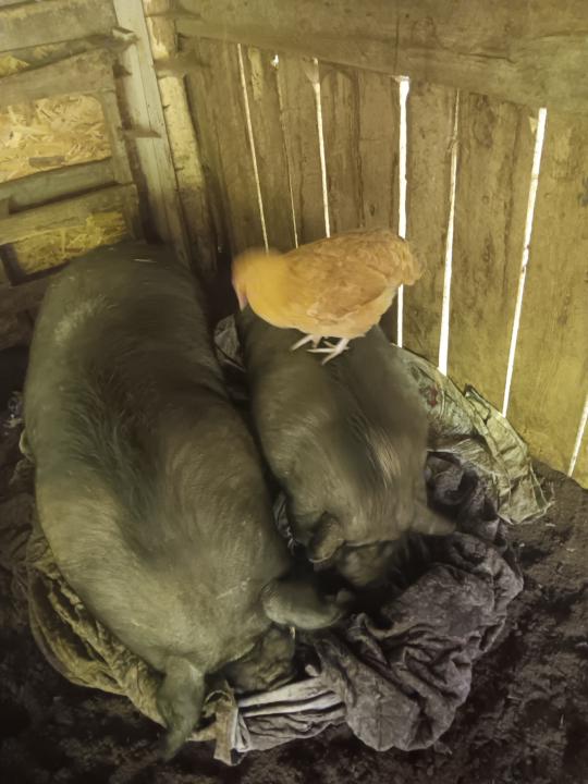 What's your favorite part about having your community?