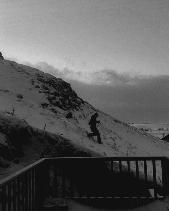 💸Generate €2,2k by just warming up your STEAK🥩