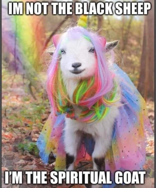 What Theme should I go with?