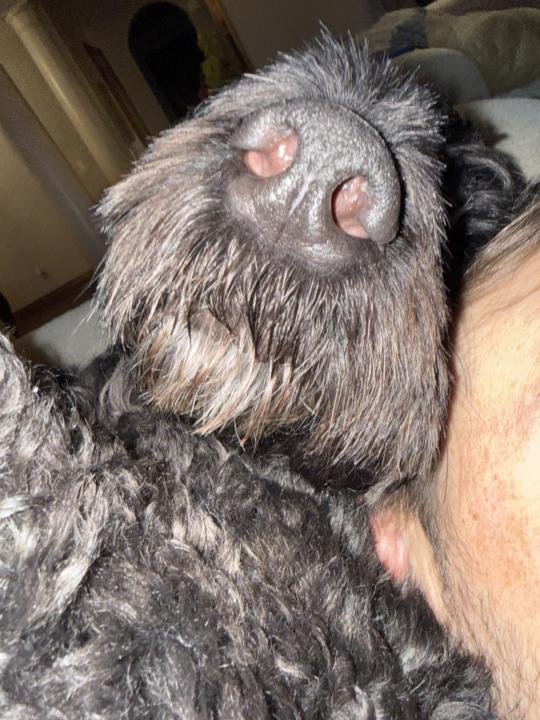 🥸 🥸 🥸 🥸 Who wore it best?