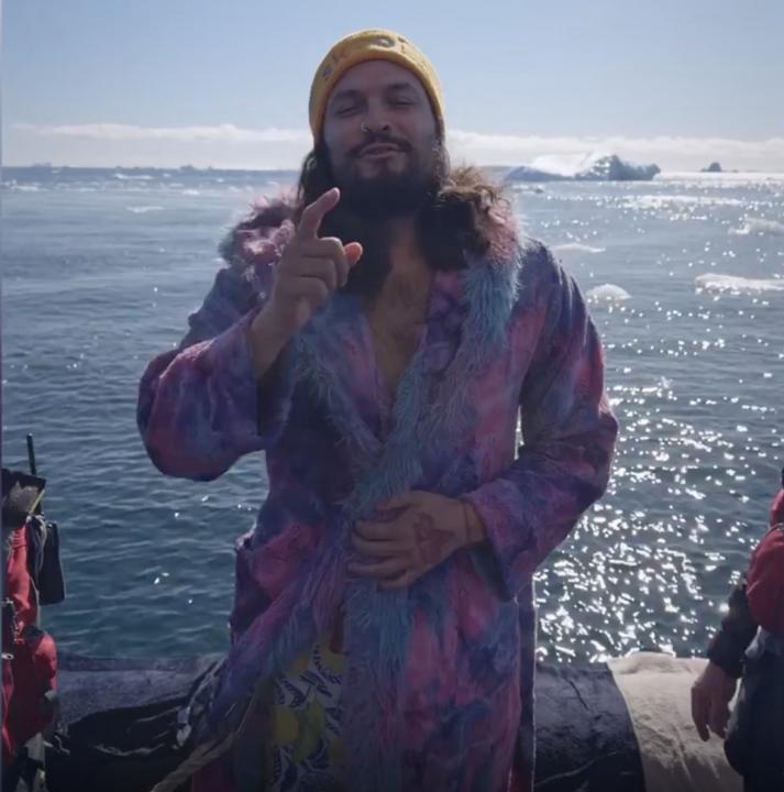 Goose Jumping in Antartica Chill