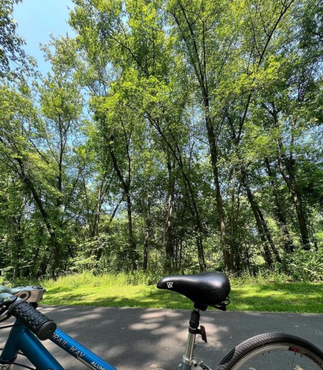 Perhaps this is the relaxing time!