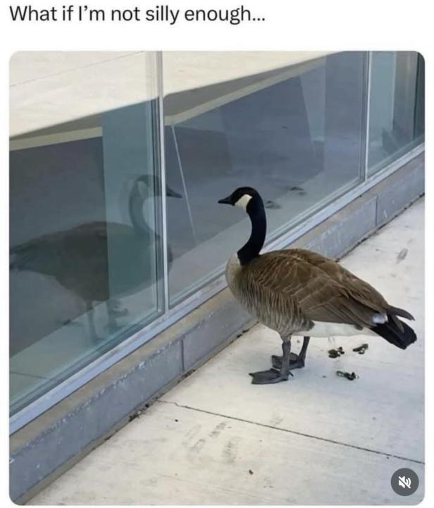 🥺 If I’m honest