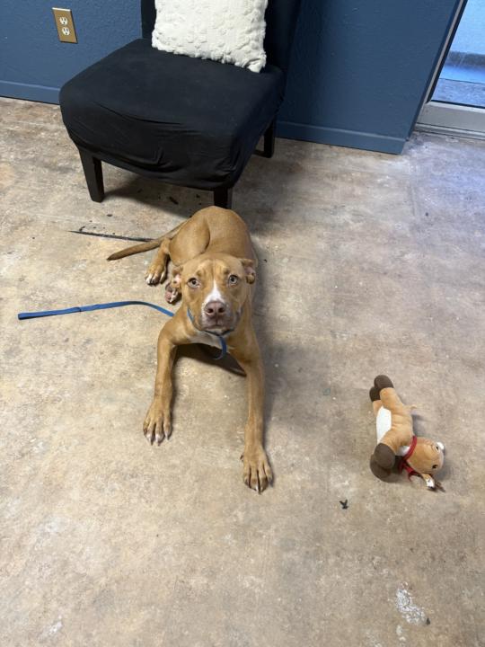 Improving Value Win! 