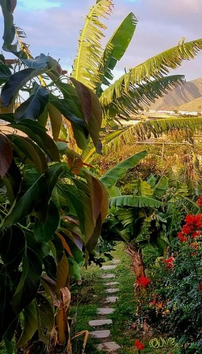 🌈🌈🌈This blitz is like climbimb the mountain ...