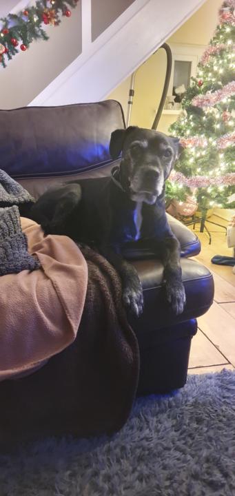 Good day, evening, or morning ! 