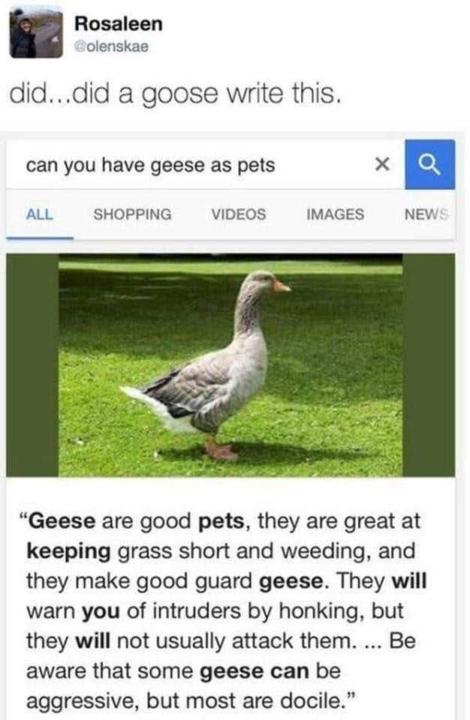 Goose propaganda