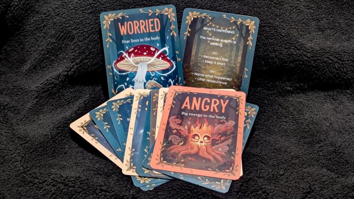 ⭐⭐ Win! Parent Regulation Cards! ⭐ ⭐