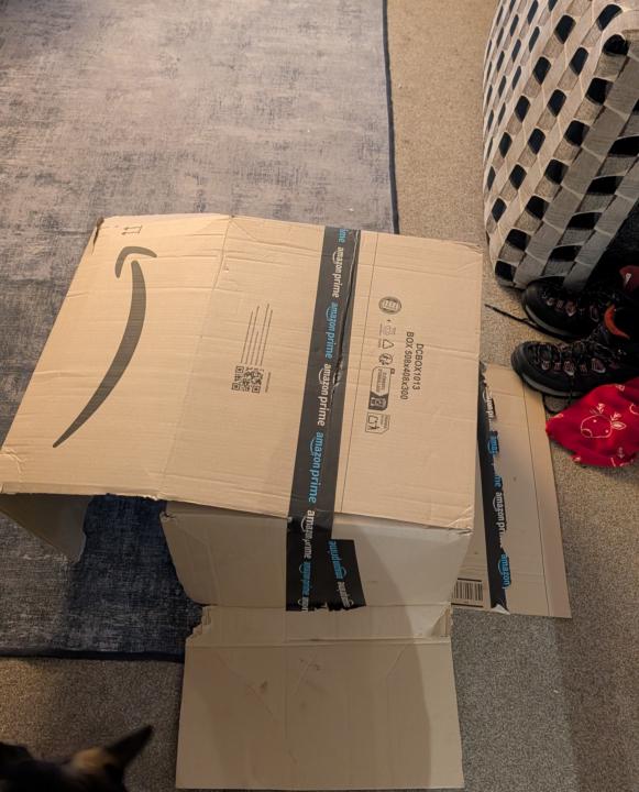 The infamous cardboard box 📦