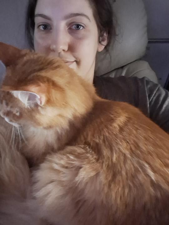 🐱 How do you end your day?