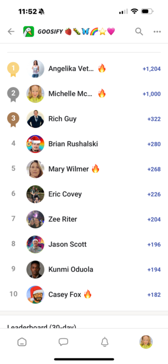 Gooseify 2025 NYE Photographs Of Leaderboards 