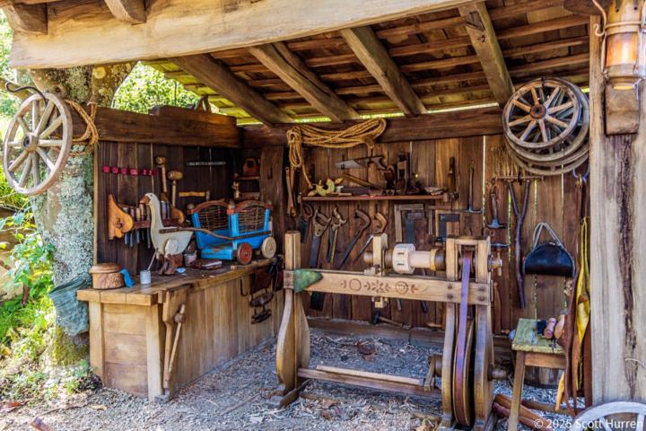 I am seeing Goose where-ever I go...