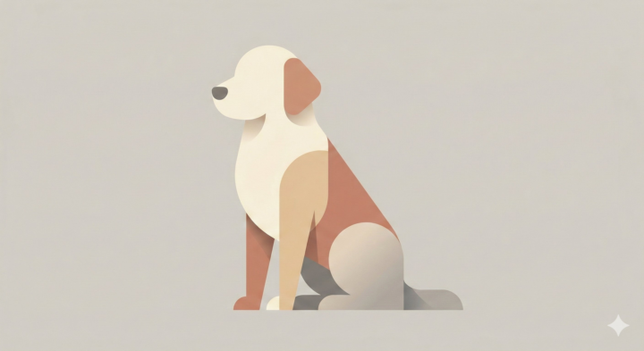 Minimal Character Illustration