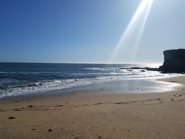 Level BLUEBERRY Here 🫐💙!