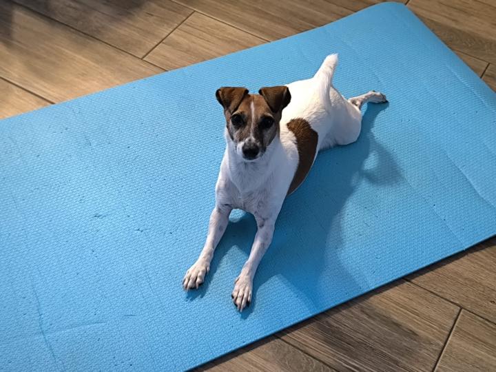 Do you have a personal trainer?