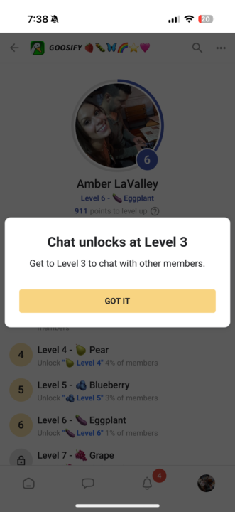 Tying Categories to Levels