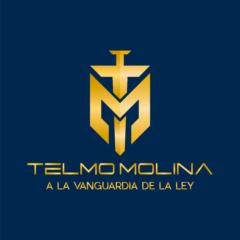 Telmo Molina