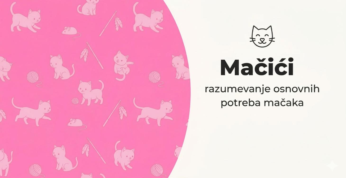 Mačići - razumevanje osnovnih potreba