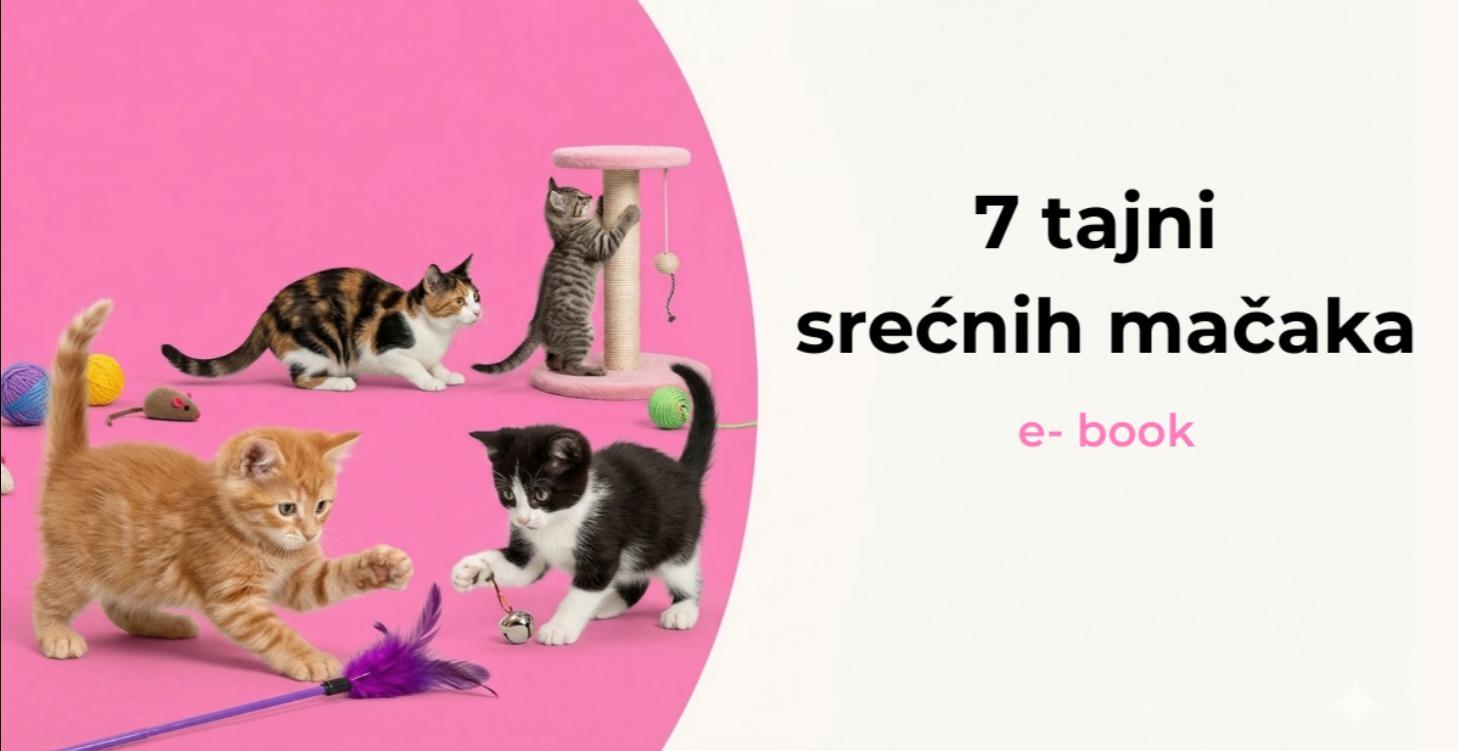 7 tajni srećnih mačaka