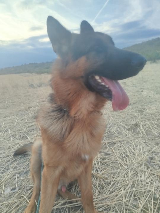 Василена Маринова