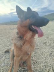 Василена Маринова