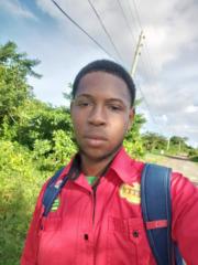 Joel Williams